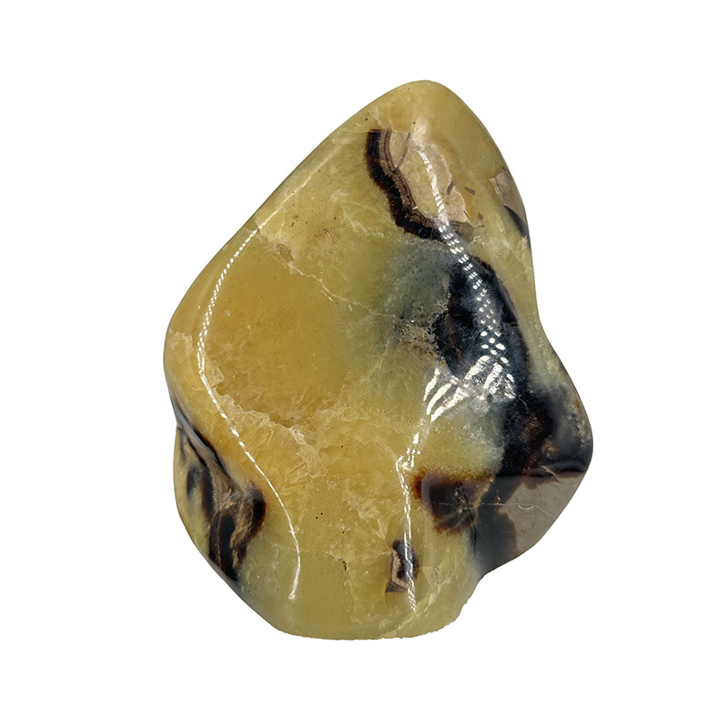 Septaria toute polie - Pièce unique - 202511_280