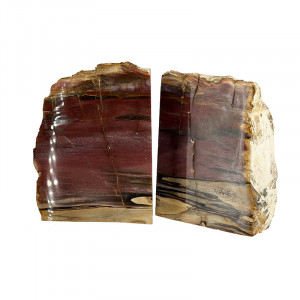 Serre livre bois fossile - Pièce unique - 202511_86