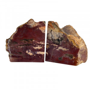 Serre livre bois fossile - Pièce unique - 202511_87