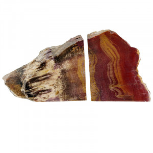 Serre livre bois fossile - Pièce unique - 202511_88
