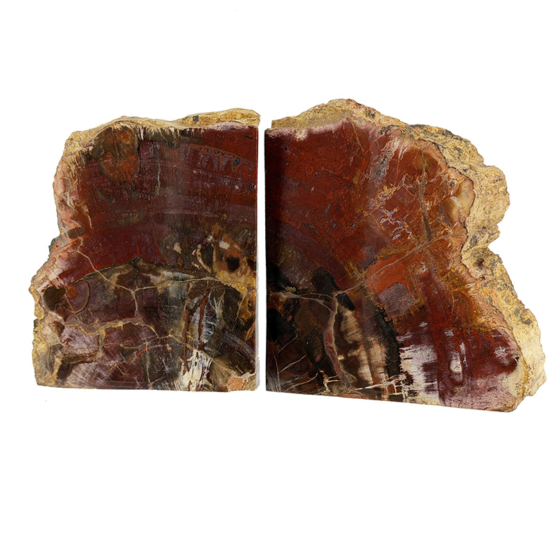 Serre livre bois fossile - Pièce unique - 202511_89