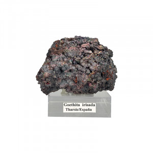 Goethite irisée - Pièce unique - 202512_101