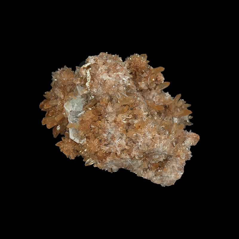 Creedite - Pièce unique - 202512_127