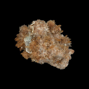 Creedite - Pièce unique - 202512_127