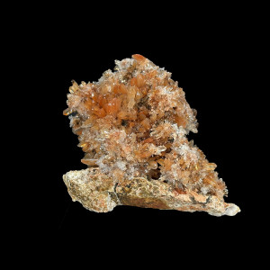 Creedite - Pièce unique - 202512_131