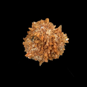 Creedite - Pièce unique - 202512_136