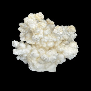 Aragonite blanche - Pièce unique - 202512_142