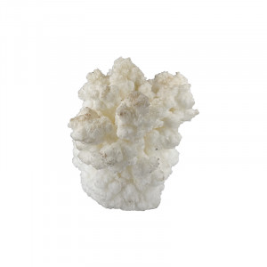 Aragonite - Pièce unique - 202507_102