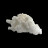 Aragonite - Pièce unique - 202507_108