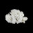 Aragonite - Pièce unique - 202507_113