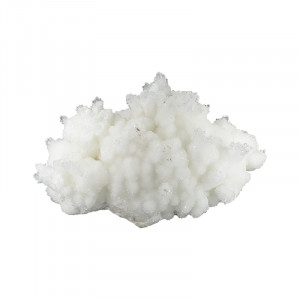 Aragonite - Pièce unique - 202507_116