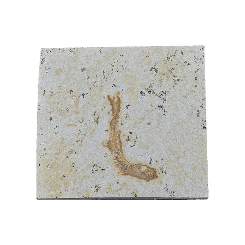 Poisson fossile - Pièce unique - 202507_41
