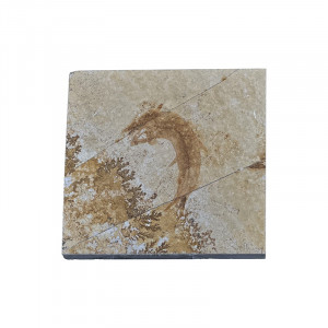 Poisson fossile - Pièce unique - 202507_50