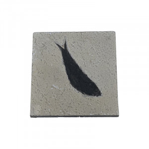 Poisson fossile - Pièce unique - 202507_53