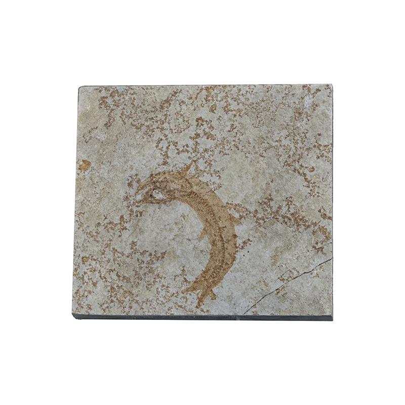 Poisson fossile - Pièce unique - 202507_54