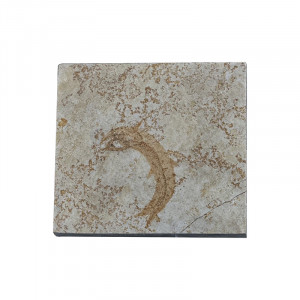 Poisson fossile - Pièce unique - 202507_54