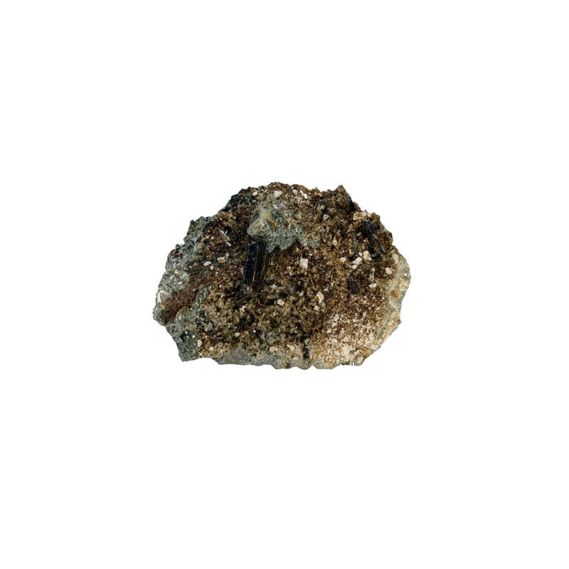 Epidote clinozoïsite - Pièce unique - 202512_201