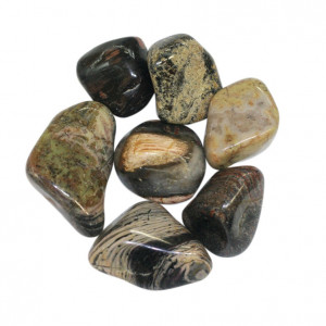 Jaspe Silverleaf Afrique du Sud pierres roulées 1 KG