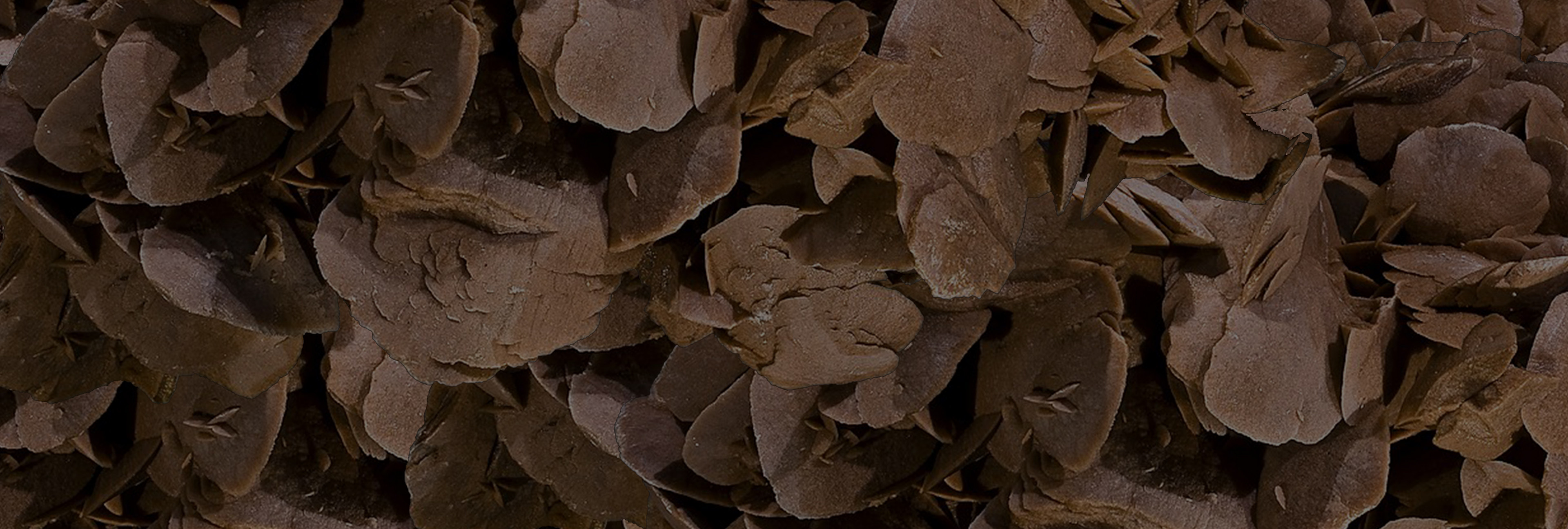 Rose des sables