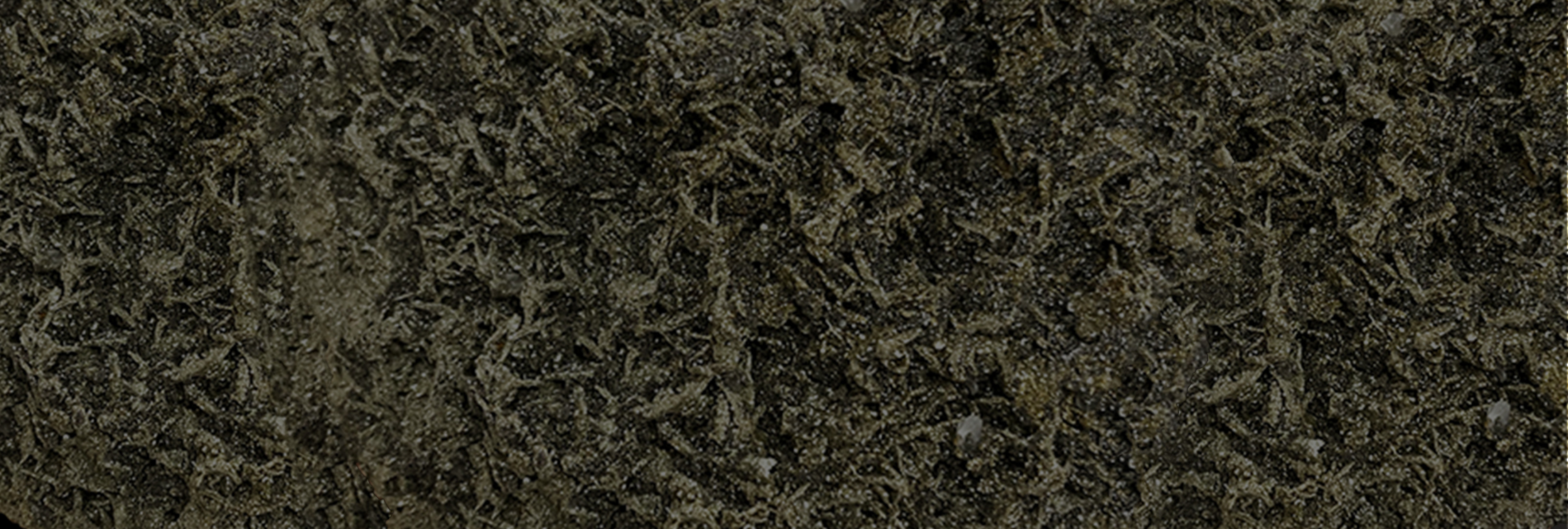 Pyrrhotite (Bulgarie)