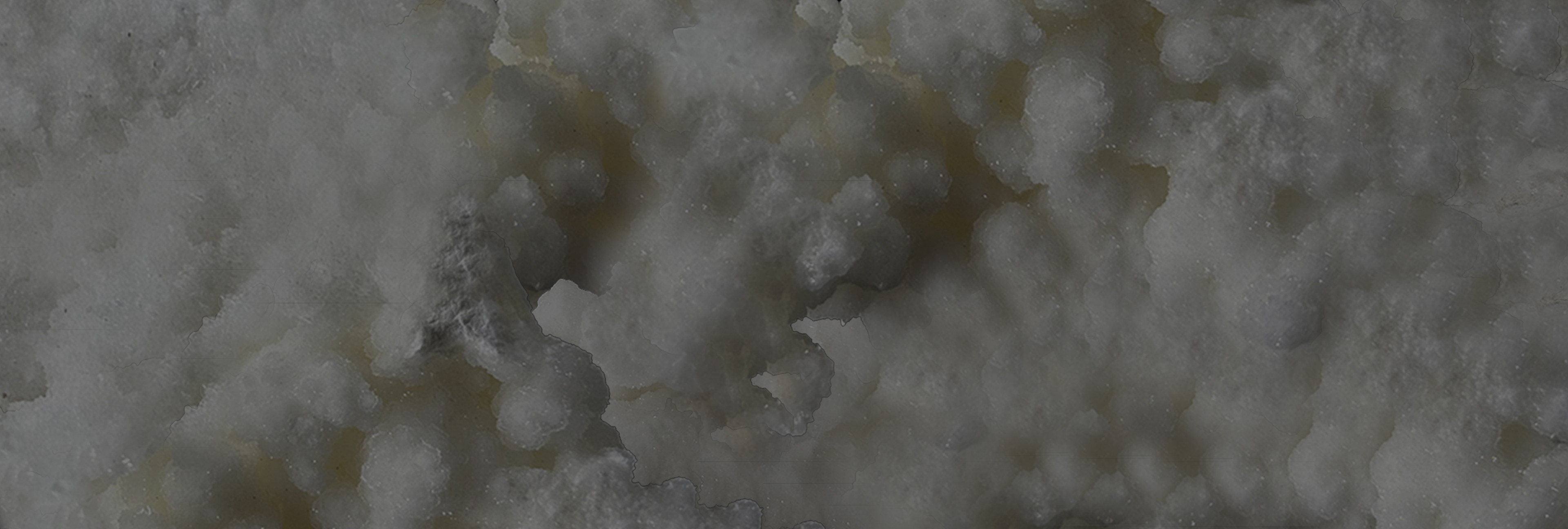 Aragonite blanche